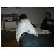 salonis party50.html